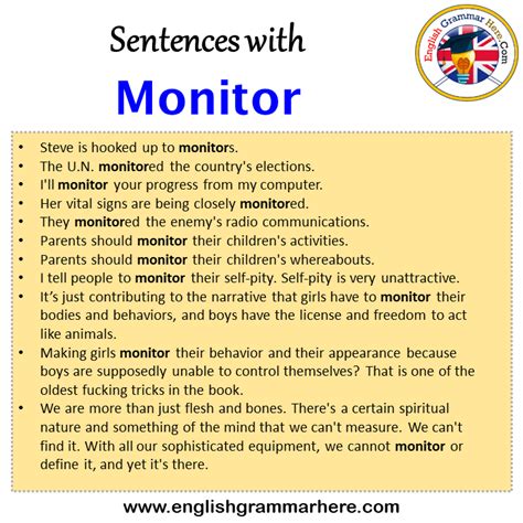 Examples Of The Word Monitor In A Sentence