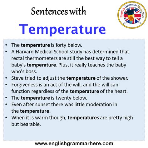Examples Of Thermometer Used In A Sentence