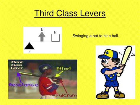 Examples Of Third Class Levers In Sport