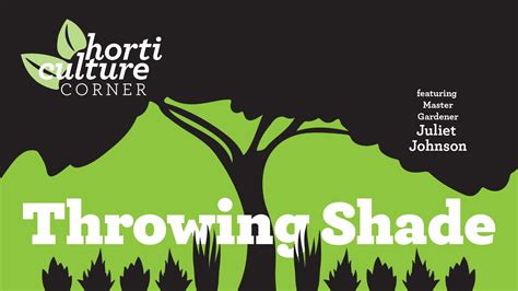 Examples Of Throwing Shade