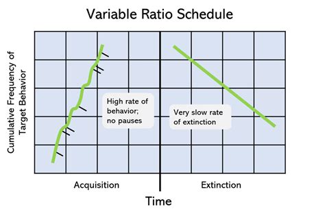 Examples Of Variable Ratio Schedule In Psychology