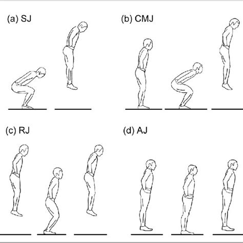 Examples Of Vertical Jumps