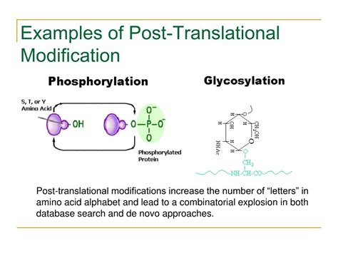Examples Post-Translational Modification