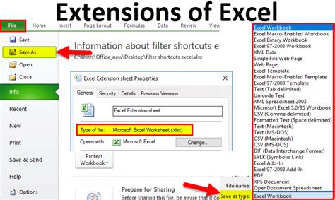 Excel File Extensions XLSX, XLSM, XLS, XLTX, and XLTM
