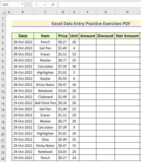 excel data entry sample pdf