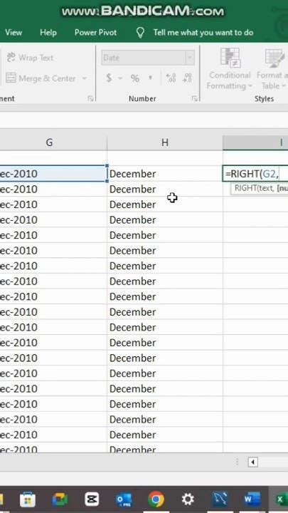 excel extract year from date as text