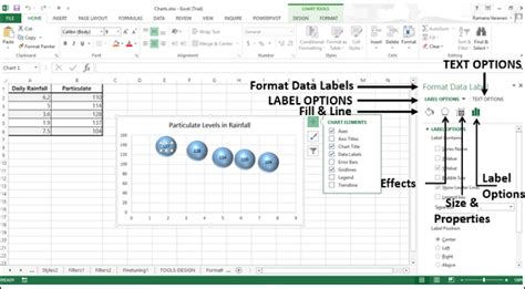 excel format data labels task pane