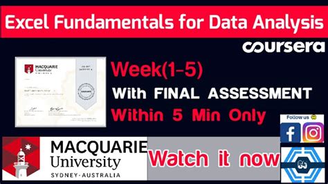 excel fundamentals for data analysis final assessment answers