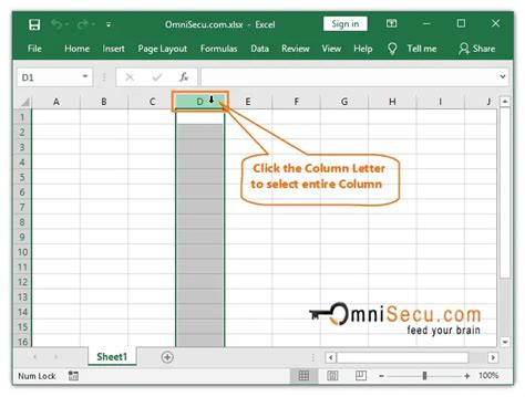 Excel Range Entire Column Vba