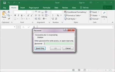 excel remove enter password for write access