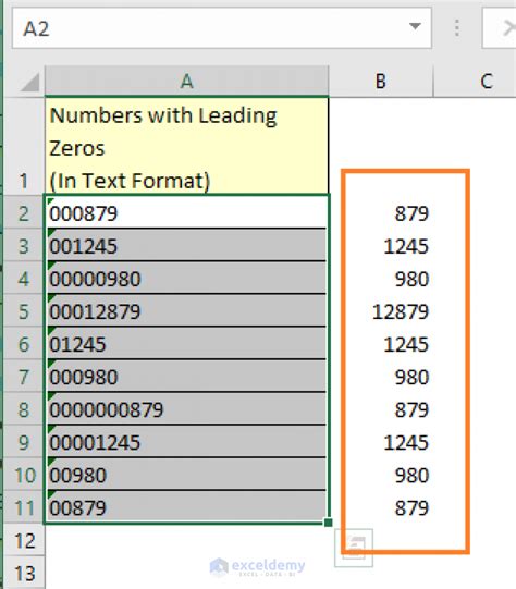 excel vba convert number to text with leading zeros
