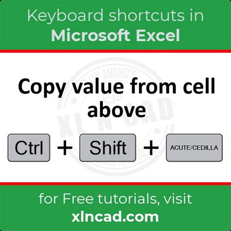 Copy formatting shortcut excel mglasopa