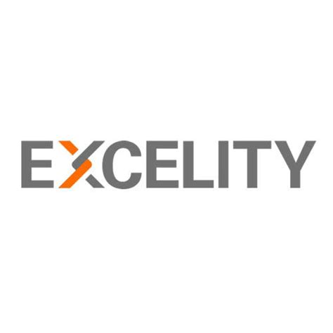 Excelity India Services