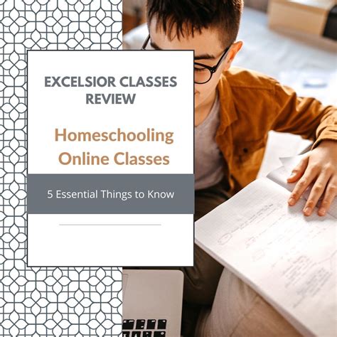 excelsior online access review