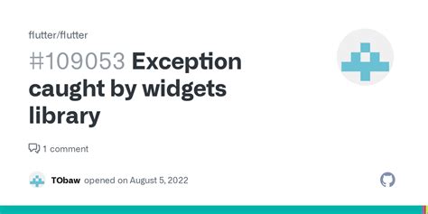Exception Caught By Widgets Library