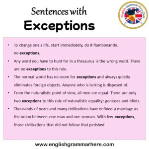 exception meaning in english