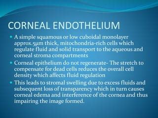Excess Fluid In Cornea