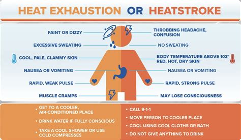 excess of heat symptoms