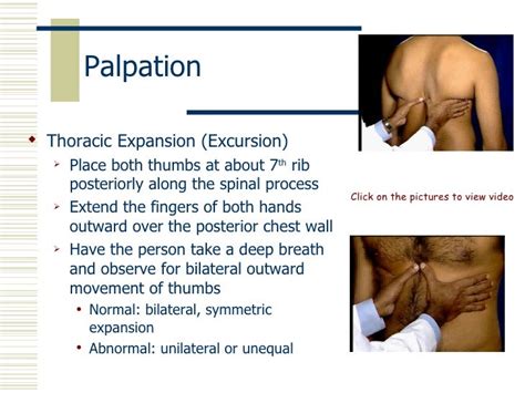 Excursion Respiratory