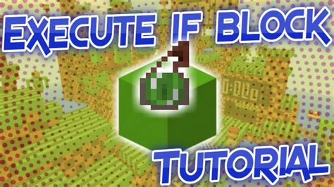 execute Minecraft Block VPN