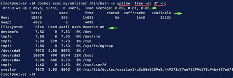 execute command in docker container