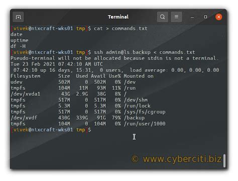 execute command via ssh