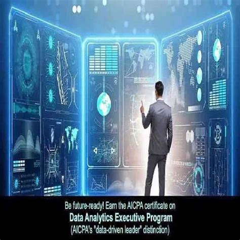 executive analytics program