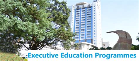 executive education programmes