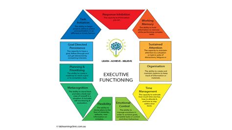 Executive Function Harvard