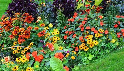Exemple De Massif De Fleurs Annuelles 1001 Idees Pour Un Joli Et Resistant Parterre Jardin