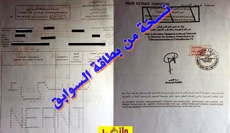 Fiche Anthropometrique Au Maroc DemaxDe