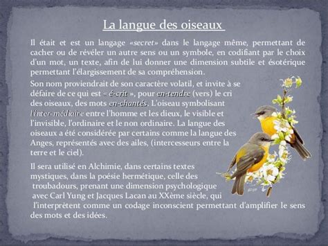 exemple langue des oiseaux