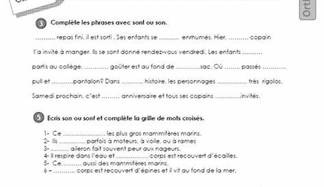 ce2: Evaluation homophones son-sont ORTHOGRAPHE