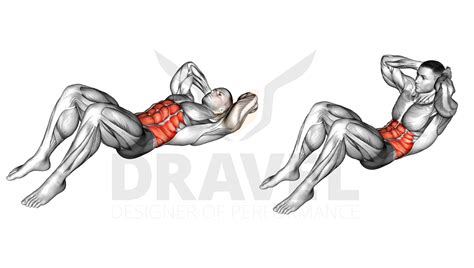 Exercice pour les Abdominaux