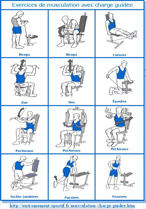 Les Bancs De Musculation : Les Bienfaits Et Les Différents Types