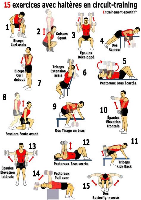 exercice pour faire les muscles