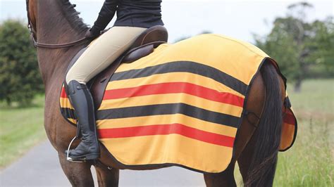 Exercise Blankets For Horses