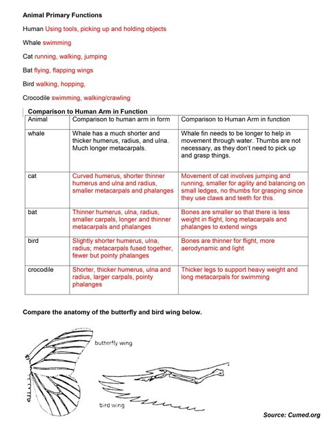 exercise evidence of evolution worksheet answers