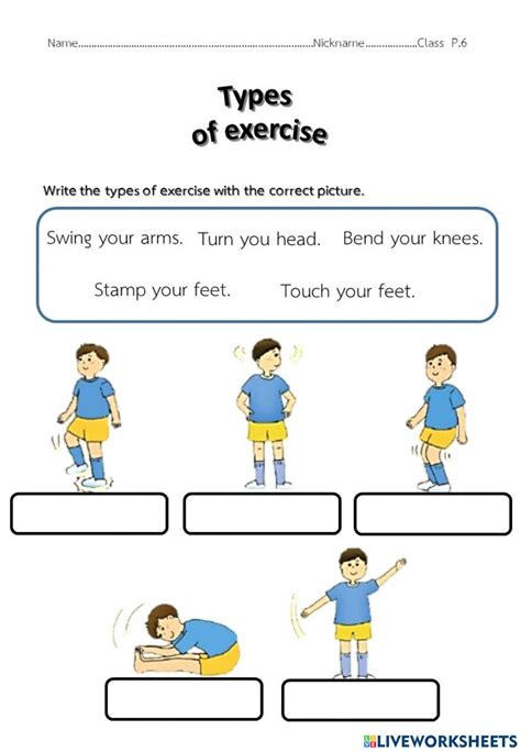Exercise Printable Worksheets