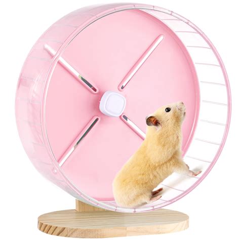 Exercise Wheel For Guinea Pigs