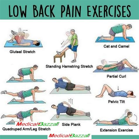 Say Goodbye to Back Pain: Top 10 Exercises for Relief and Strength