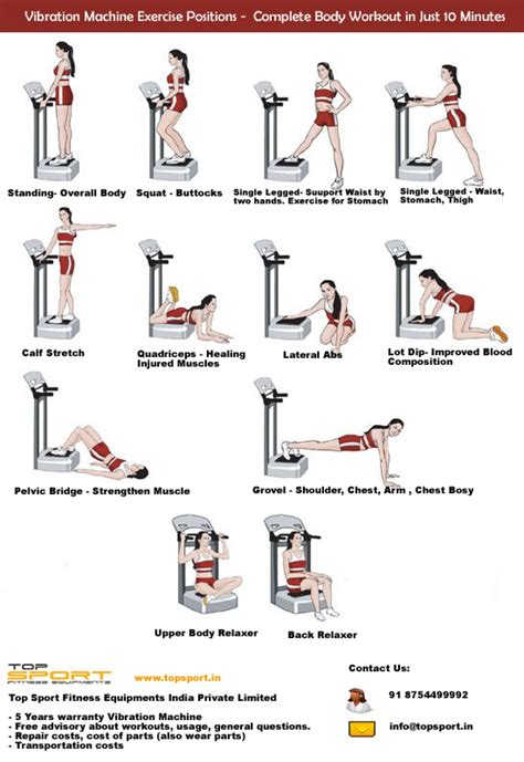 Exercises To Do On Vibration Machine