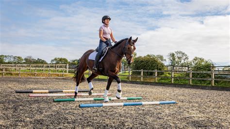 Exercises To Do With Your Horse