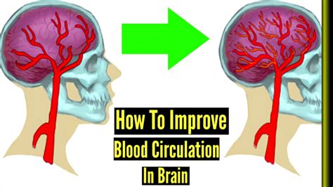 exercises to improve blood flow to brain