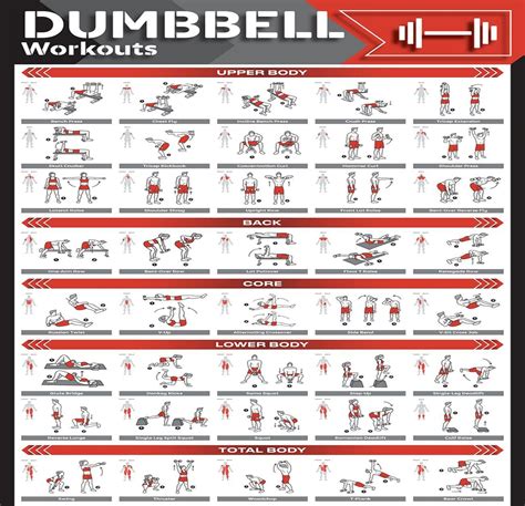 Exercises With Dumbbells Pdf