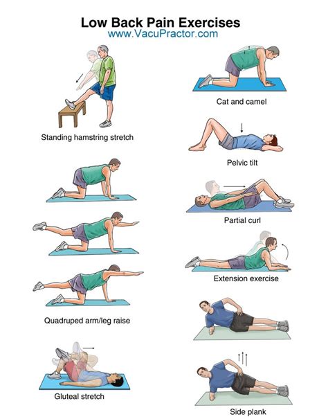 exercises that relieve lower back pain