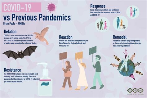 existing situations for a pandemic to happen