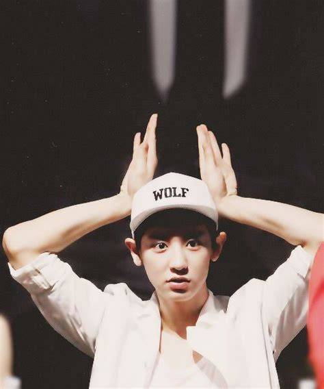 Exo Park Chanyeol Wolf