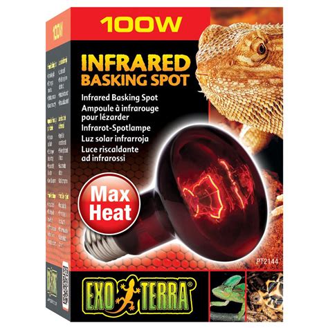 exo terra heat glo infrared heat lamp