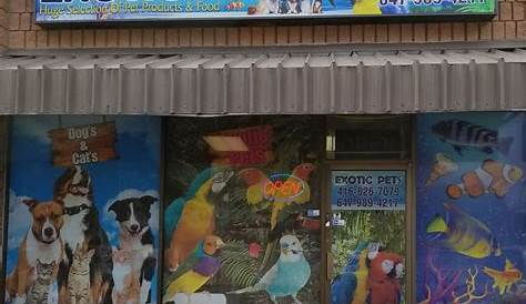 Exotic Pet Stores Near Me Fish 406 Northside Dr, Valdosta, GA